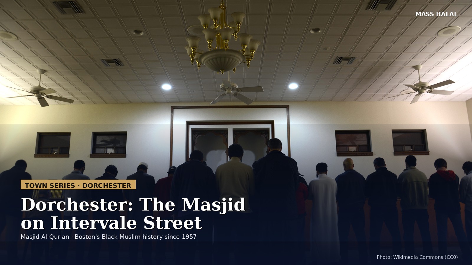 Worshippers standing shoulder to shoulder in a row for evening prayer in a mosque prayer hall, seen from behind (file photo from another U.S. mosque)