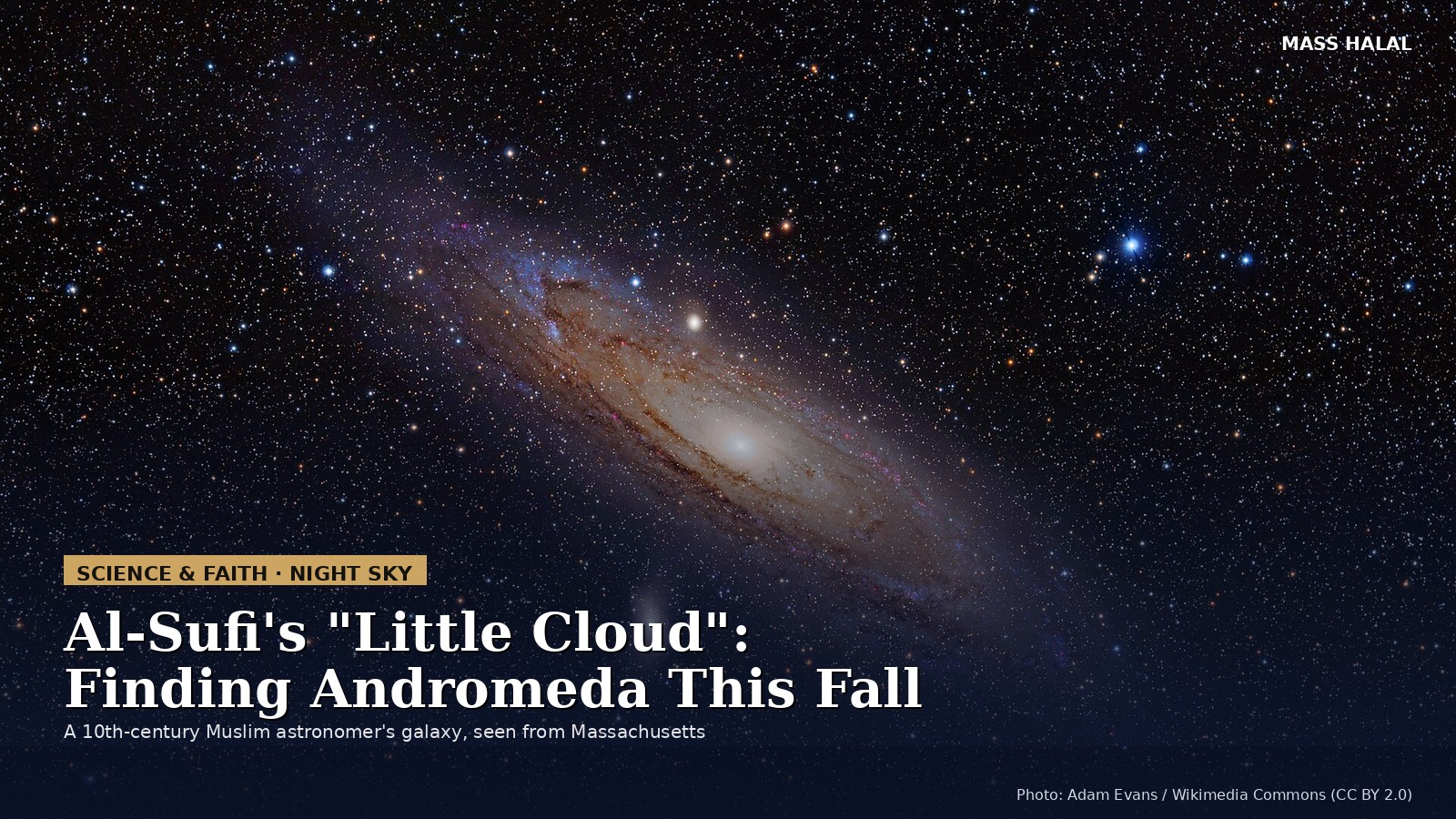 Long-exposure telescope photo of the Andromeda Galaxy, a tilted spiral of golden and blue light surrounded by stars against a dark sky.